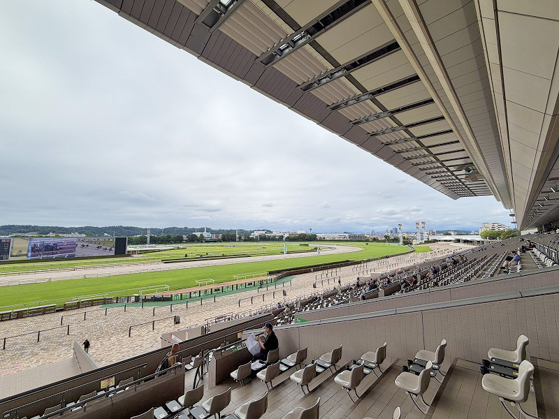 東京競馬場