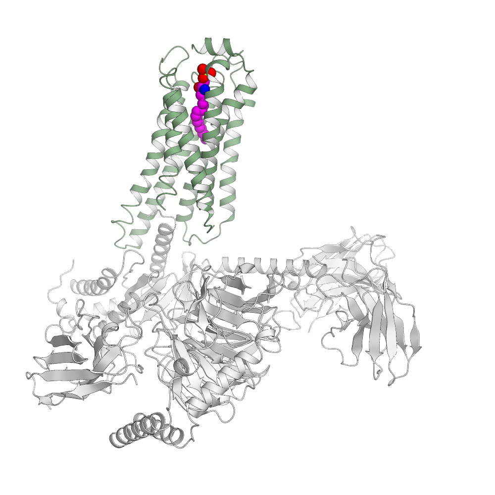 S1P Receptor 3 Structure