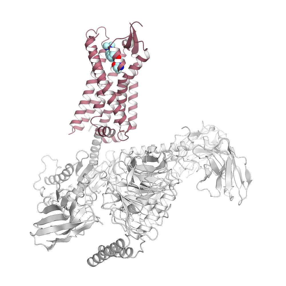 Human Ghrelin Receptor Structure