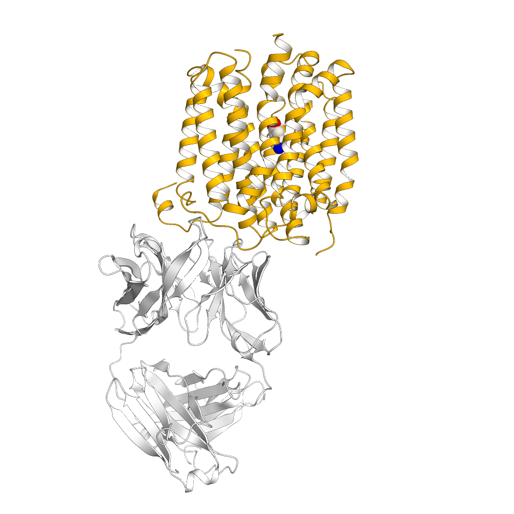 Human VMAT2 Structure