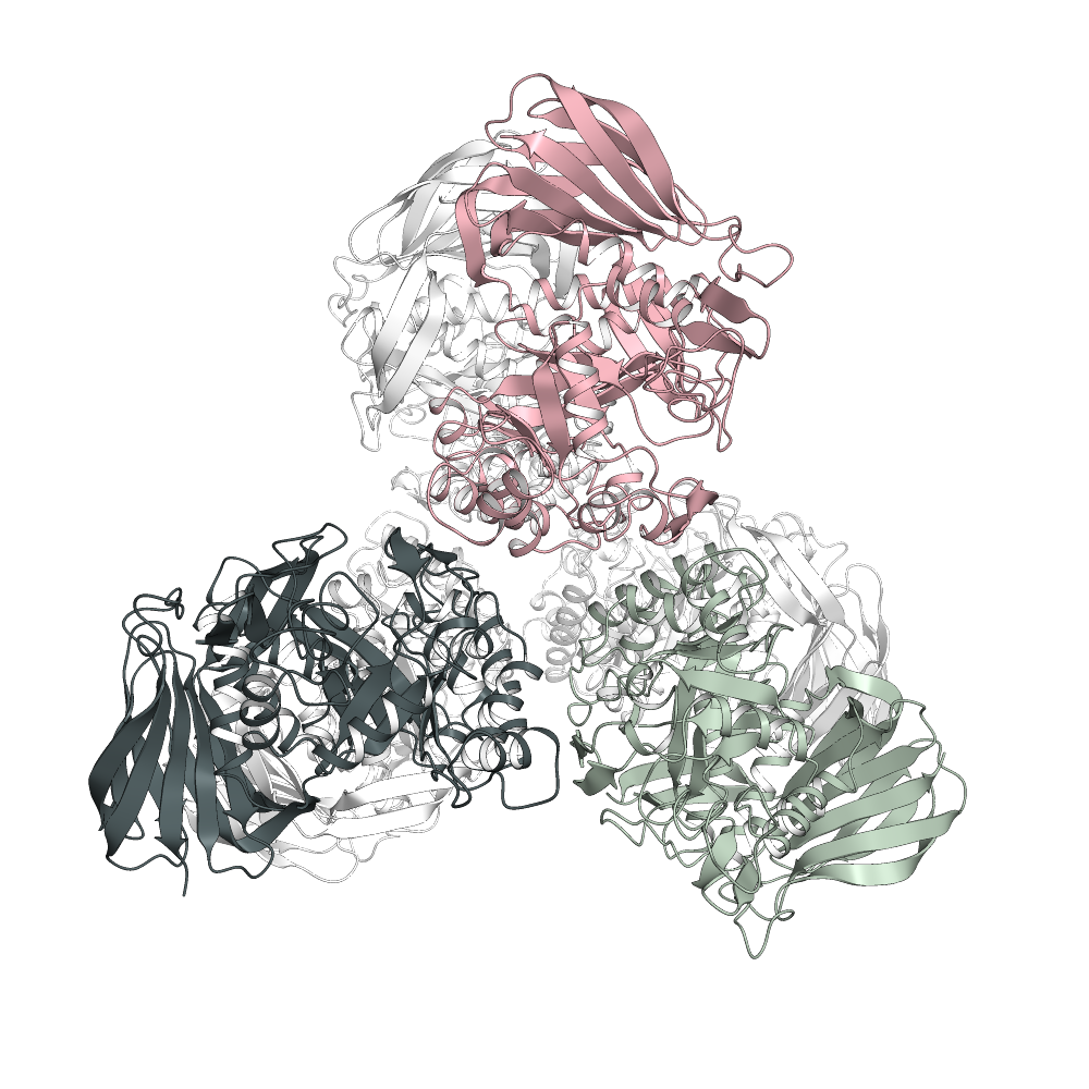 alpha-L-Arabinofuranosidase Structure