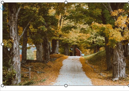 s04_65.jpg s04_65.jpg