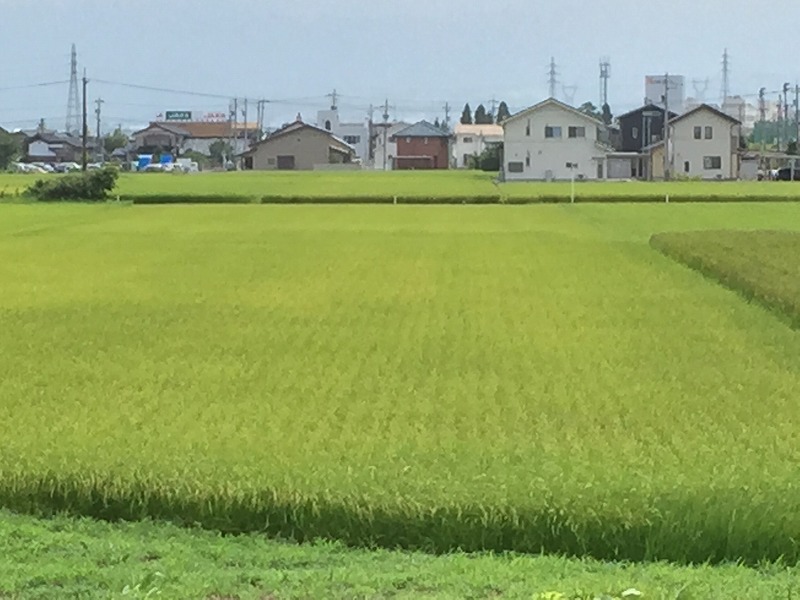 舟橋2
