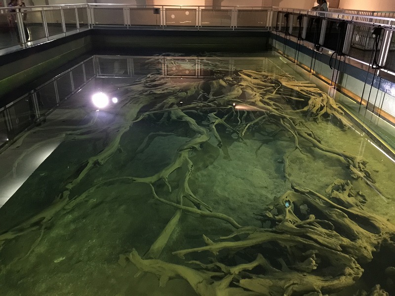 魚津4
