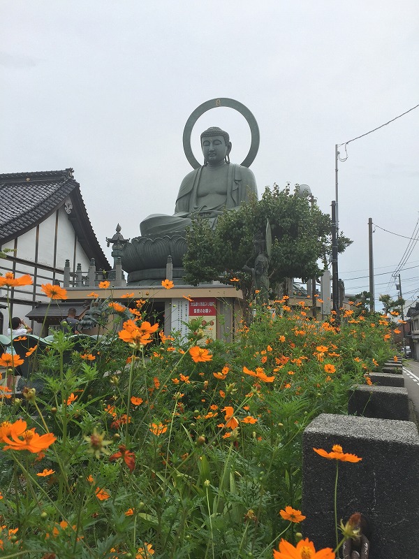 高岡8