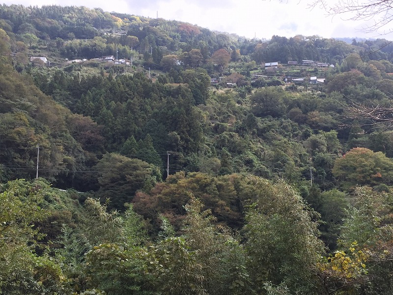 吉野川流域の山肌