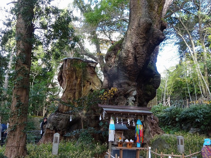 来宮神社