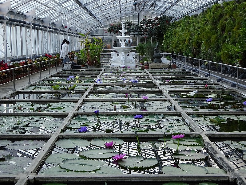 熱川バナナワニ園