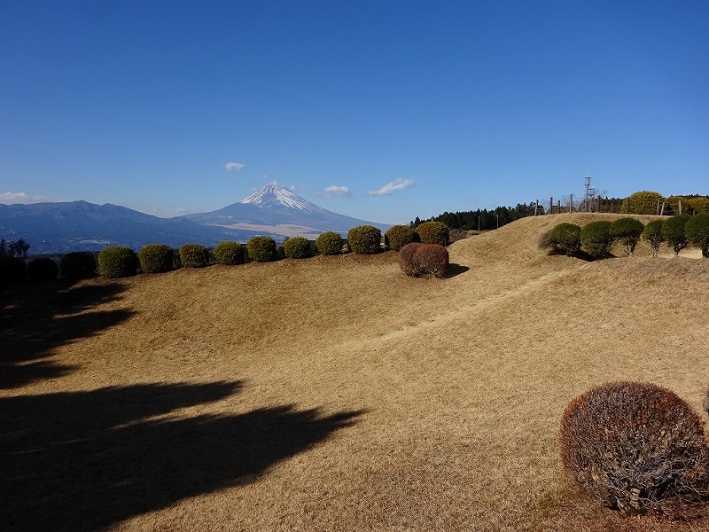 山中城