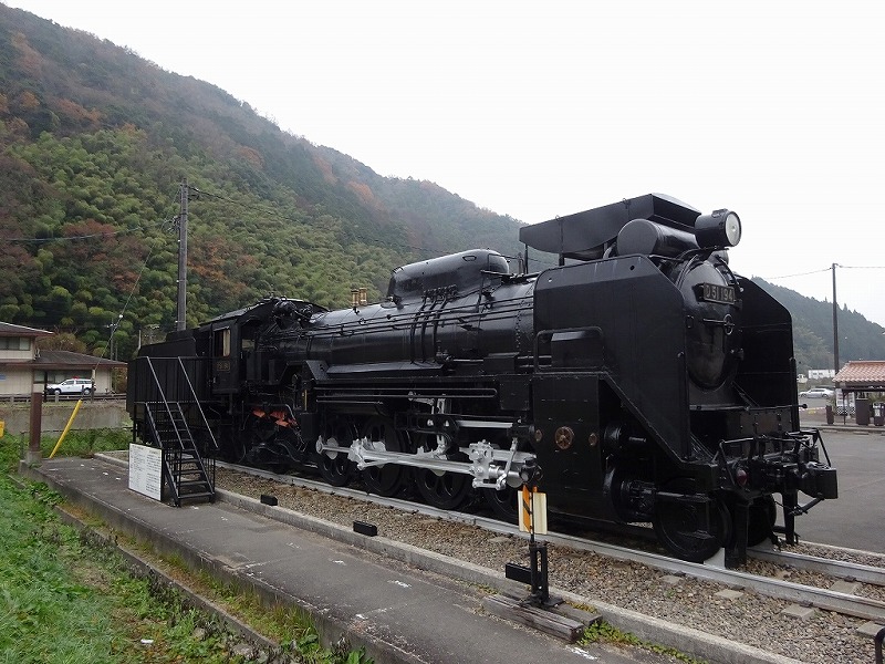 D51