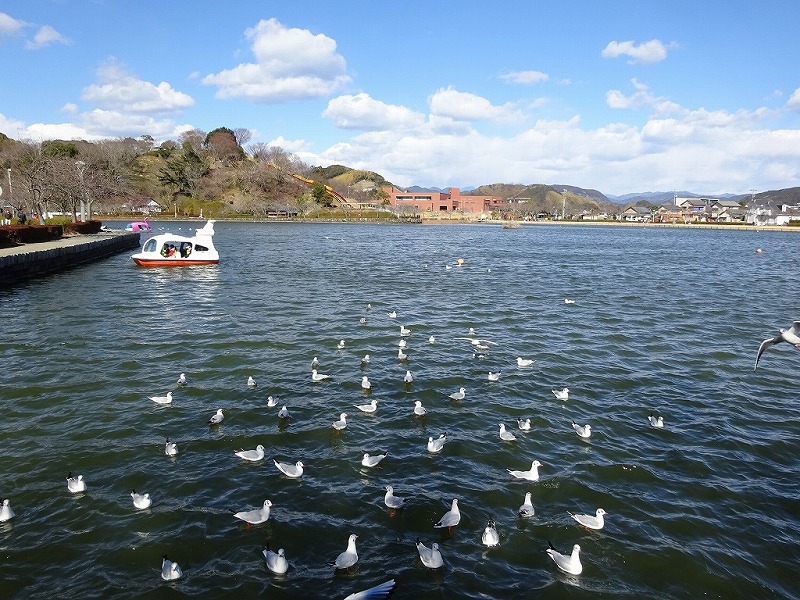 蓮華寺池公園