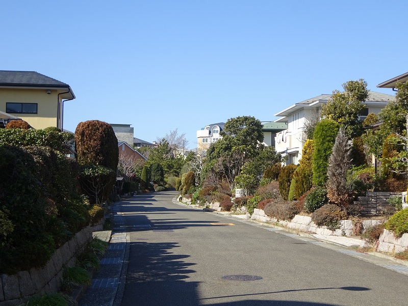 湘南国際村