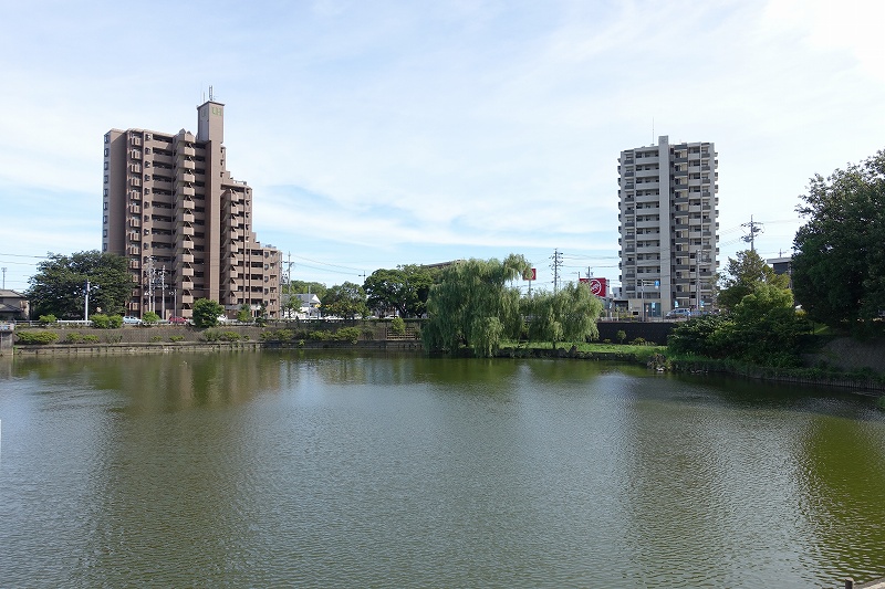 大府市 新池