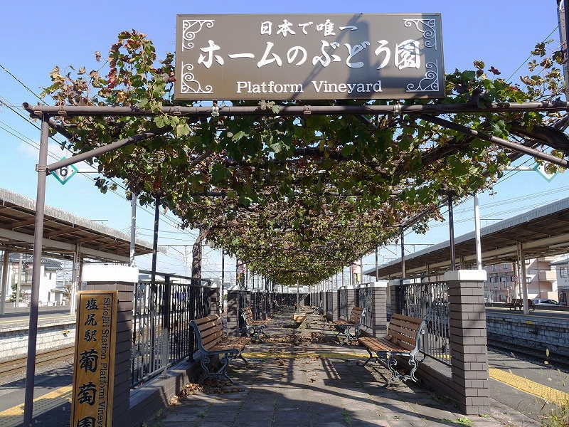 塩尻駅 ぶどう棚