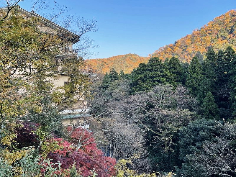 湯快リゾート よしのや依緑園