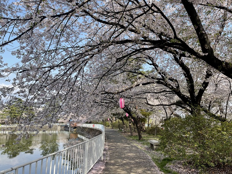 華蔵寺沼