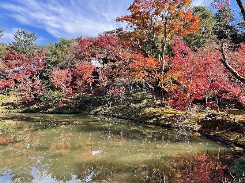 高台寺 臥龍池