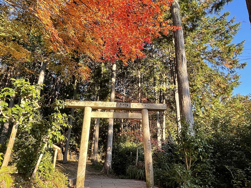 圓光寺 東照宮