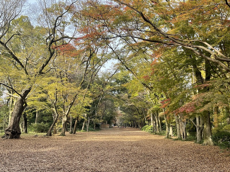 下鴨神社 馬場