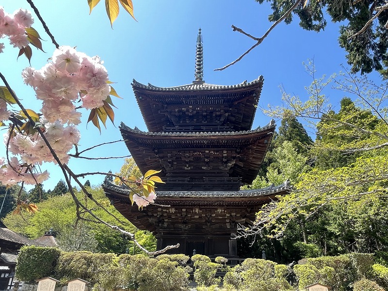 三井寺 三重塔
