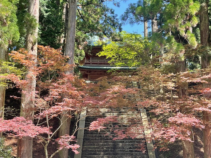 根本中堂 石段