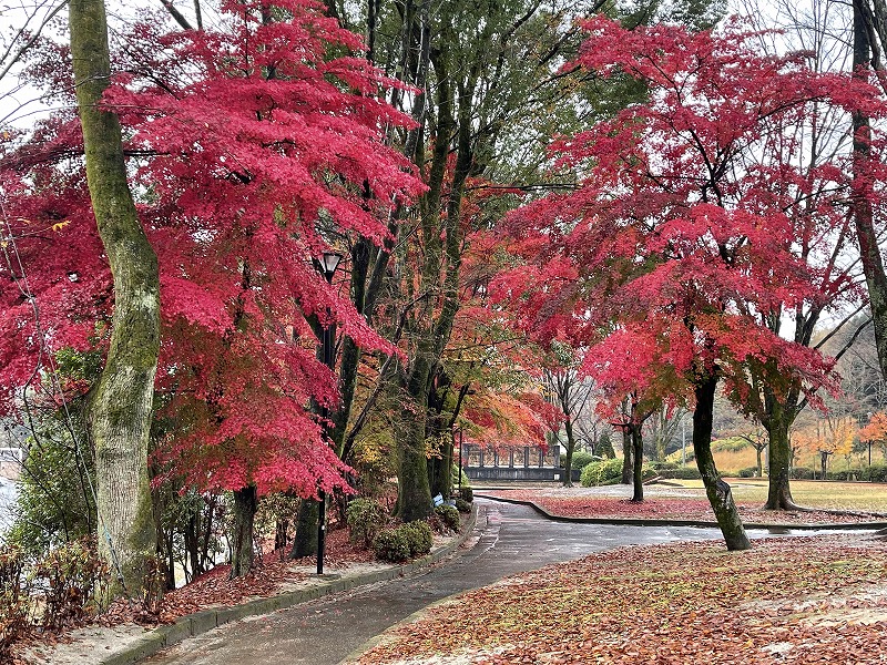 瑞浪市民公園