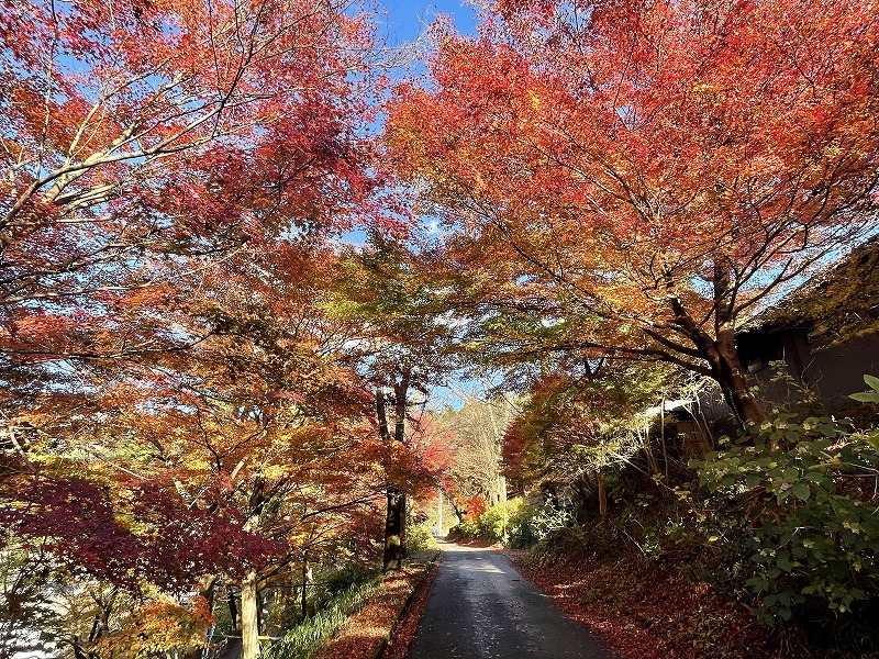 下呂温泉合掌村