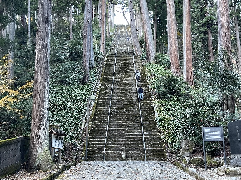 菩提梯