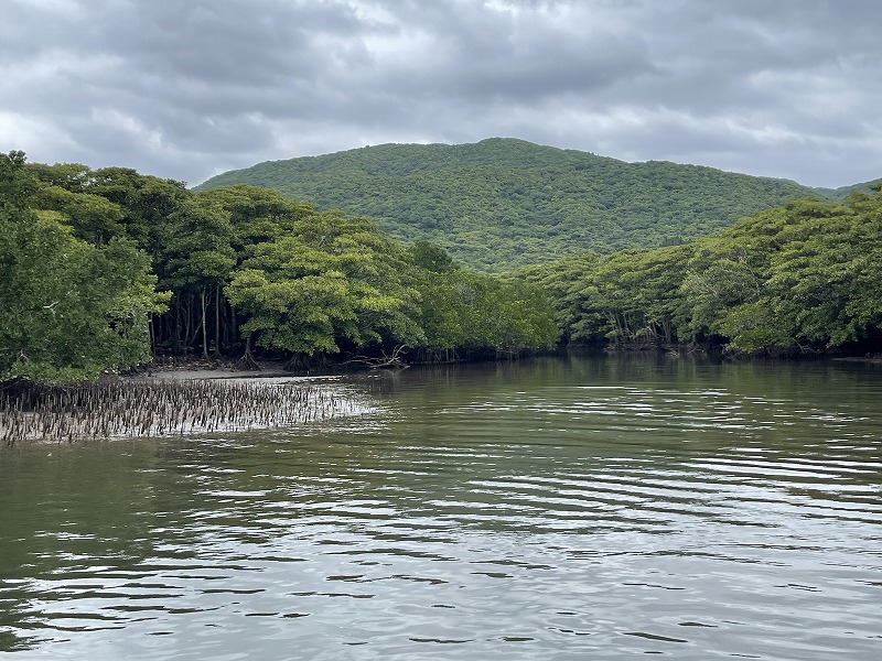 仲間川 遊覧船