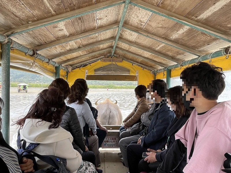 水牛車 由布島
