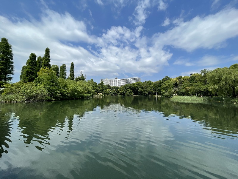 井の頭恩賜公園 井の頭池
