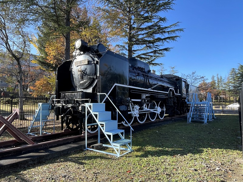 D51