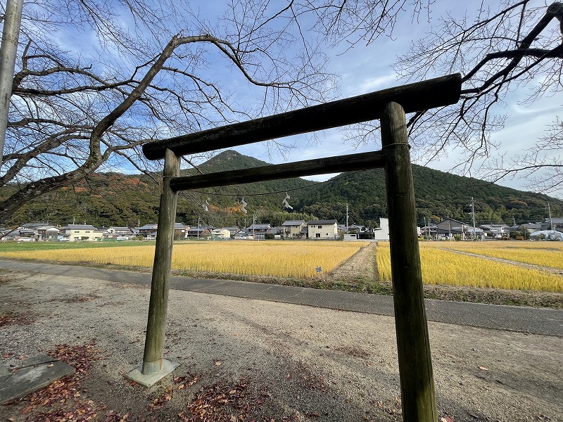昭和の悠記斎田