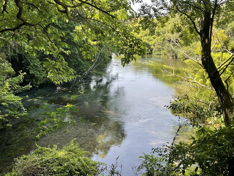 柿田川公園