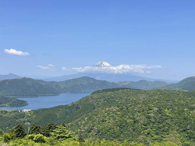 大観山展望台