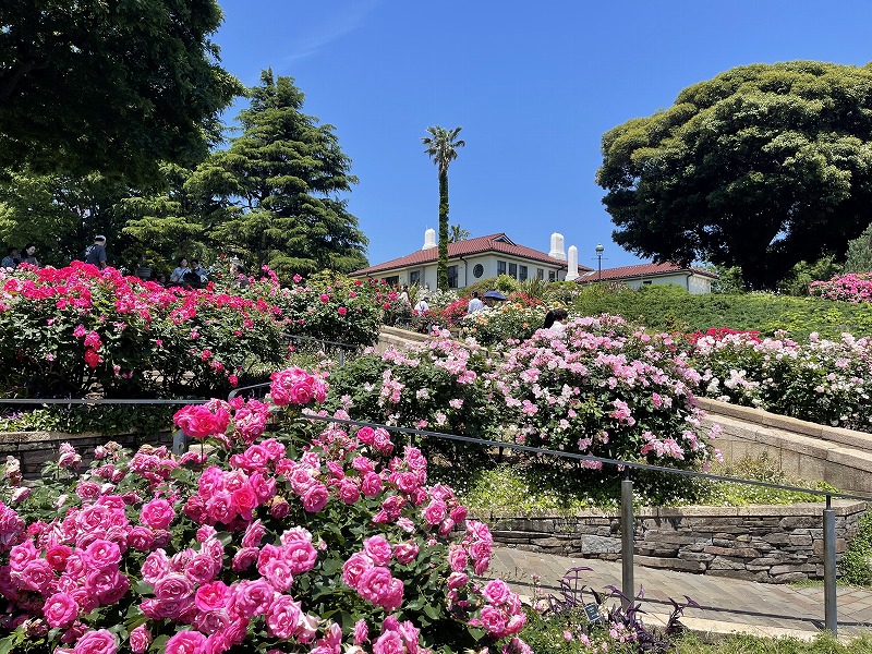 イギリス山地区