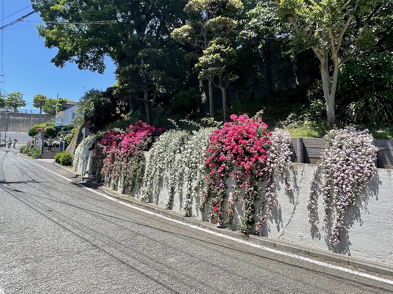 山手イタリア山庭園