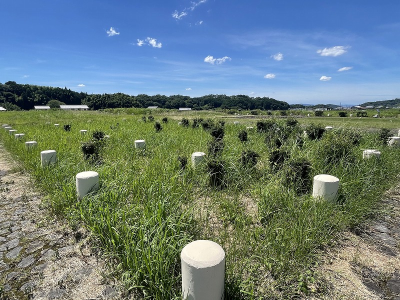飛鳥宮跡