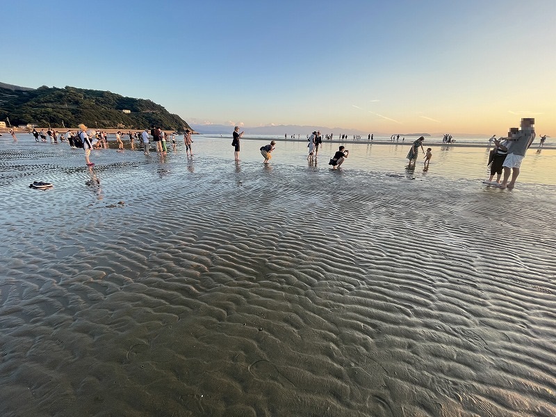 父母ヶ浜