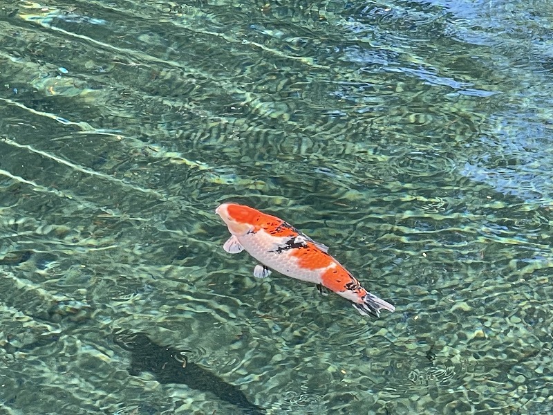 白龍湖