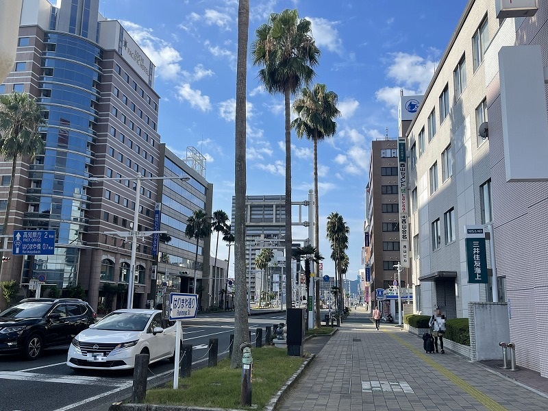 ヤシ並木