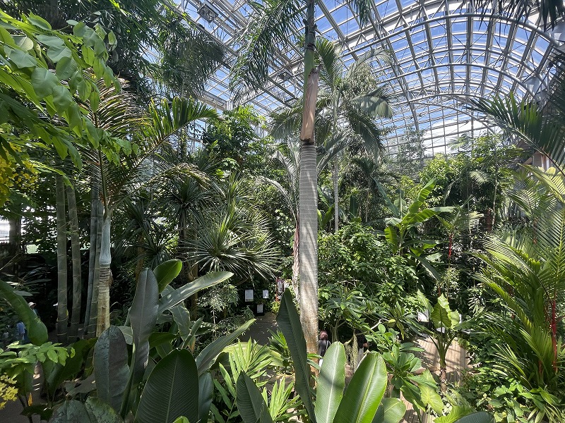 牧野植物園