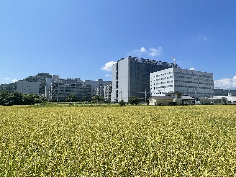 日亜化学工業本社