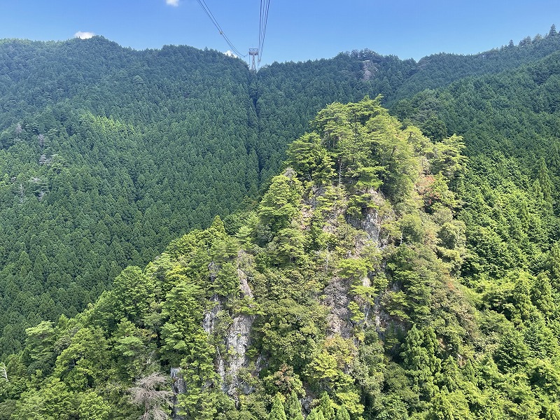太龍寺ロープウェイ
