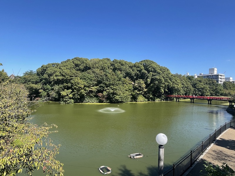 茶臼山