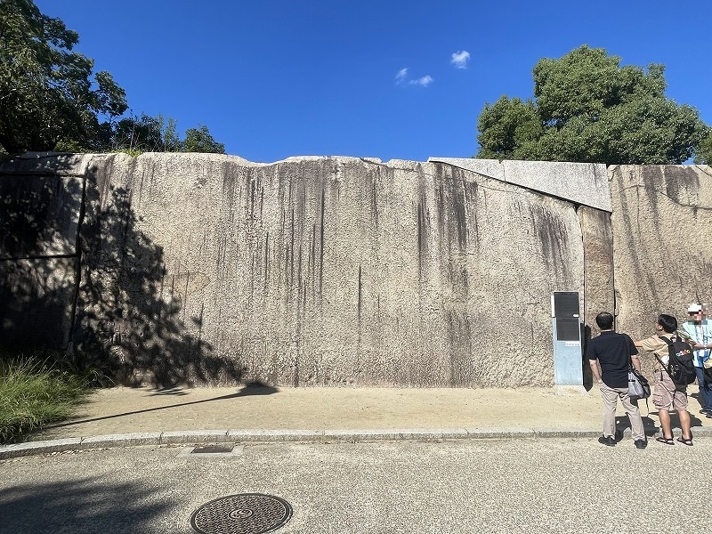 蛸石