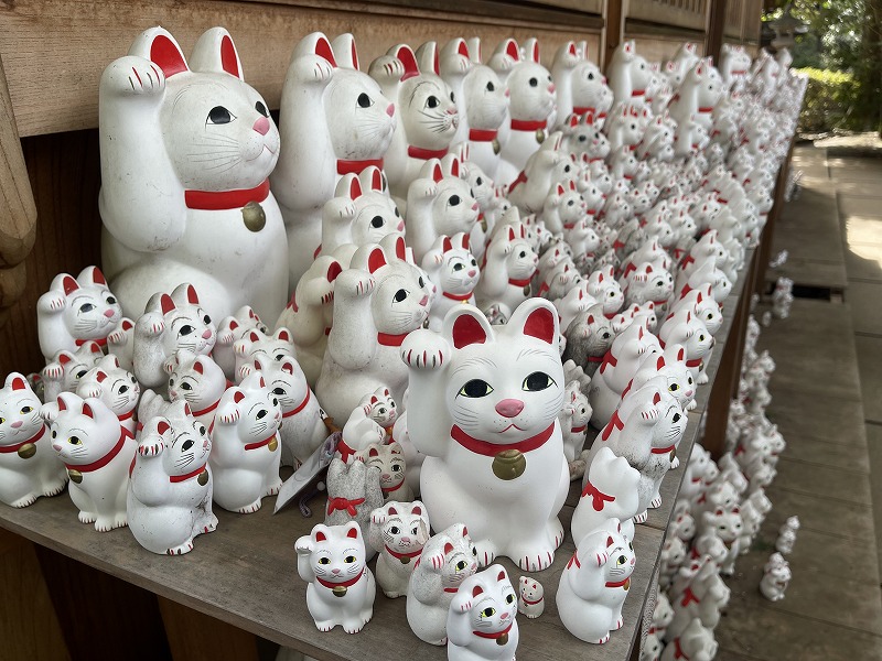 豪徳寺 招き猫