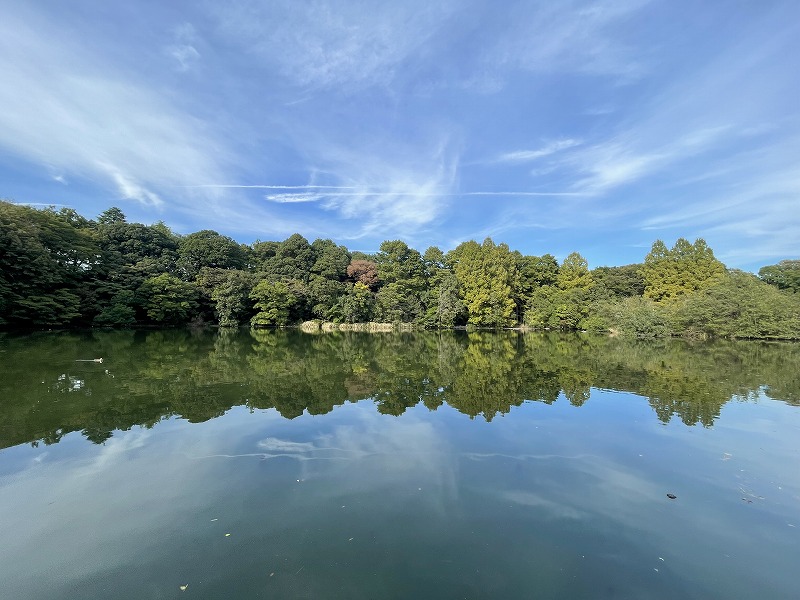 三宝寺池