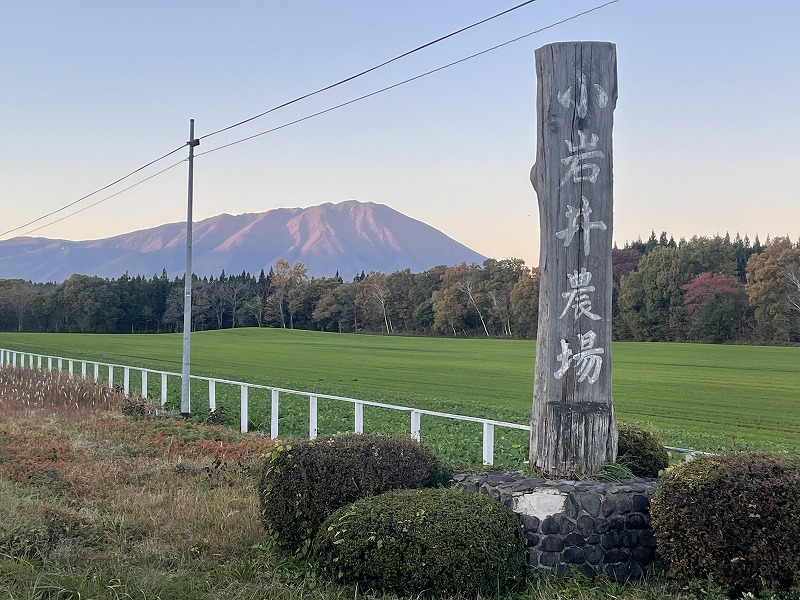 小岩井農場