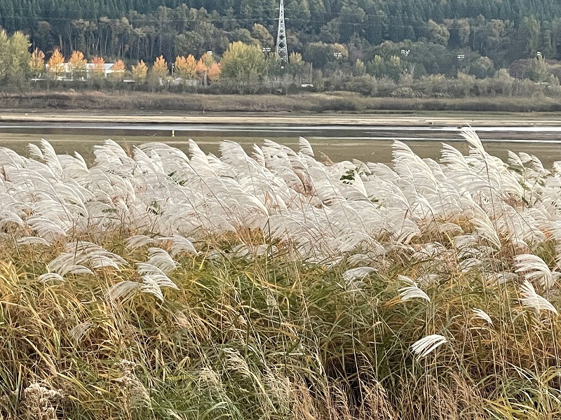 塩ヶ森水辺園地
